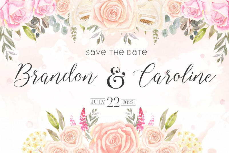 Shelline Script Font
