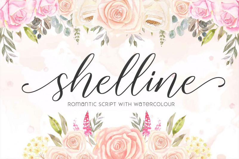 Shelline Script Font