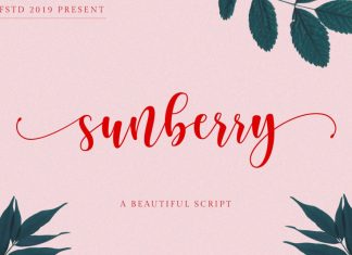 Sunberry Script Font
