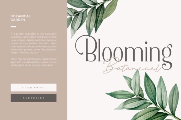 Berlin Serif Font