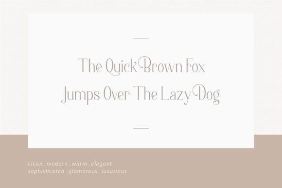 Berlin Serif Font