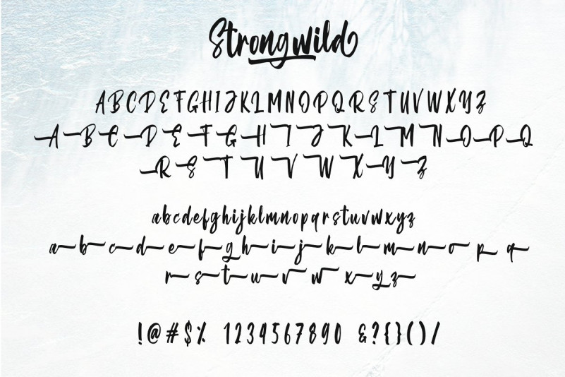 Strongwild Brush Font