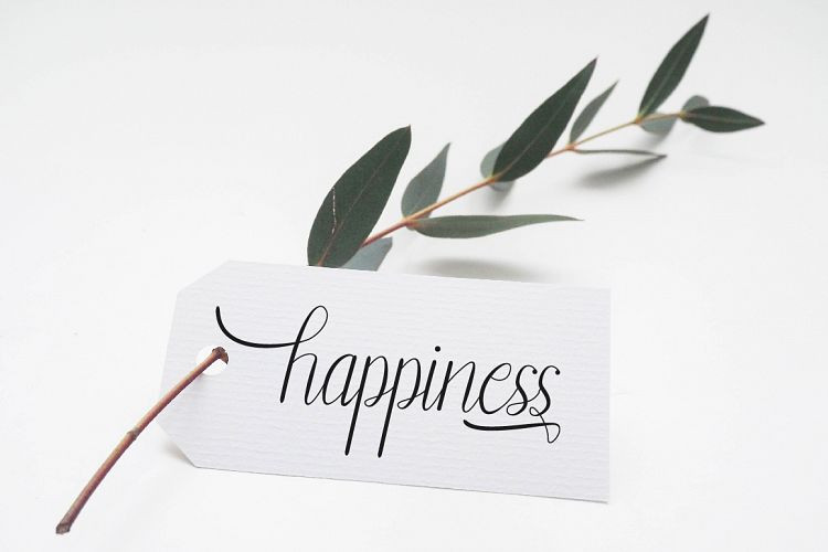 Belynti Calligraphy Font
