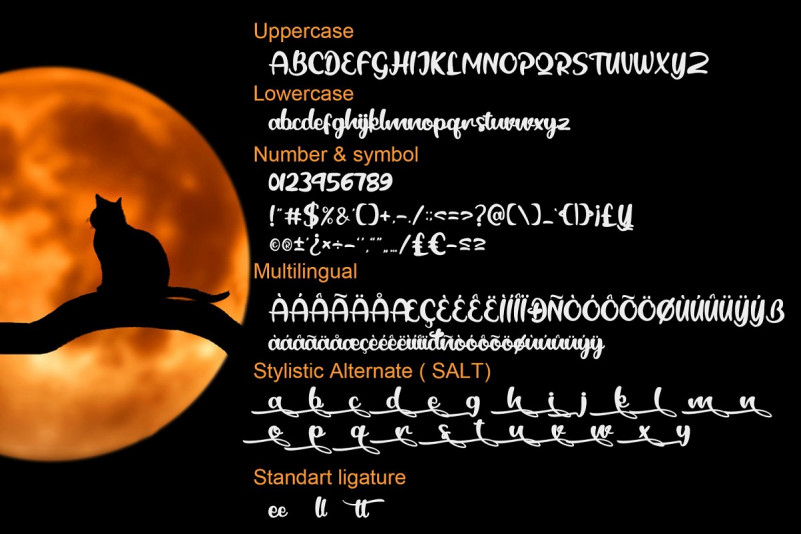 Black Catty Font