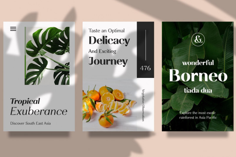 Rossanova Font Family