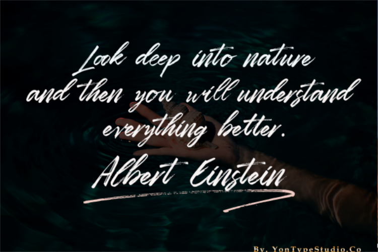 Zombiess Font