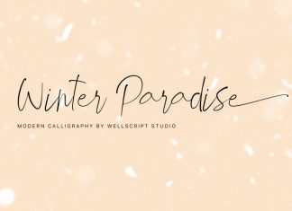 Winter Paradise - Modern Script Font