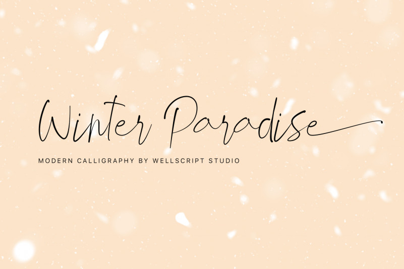 Winter Paradise - Modern Script Font