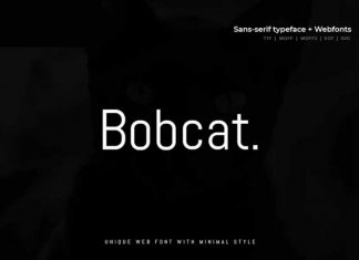 Bobcat – Modern Typeface + WebFont