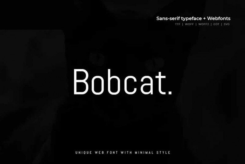 Bobcat – Modern Typeface + WebFont