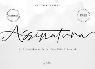 Assinatura Script Font