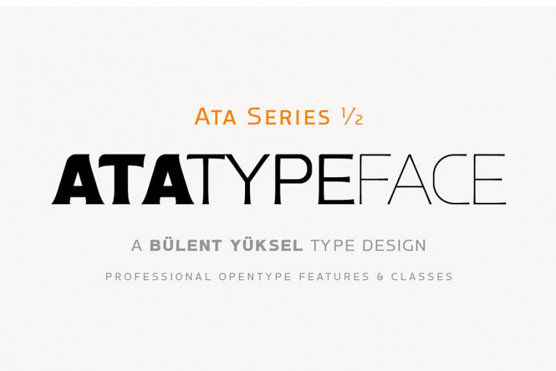 Ata Type Family