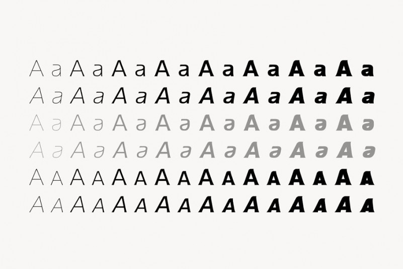 Ata Type Family