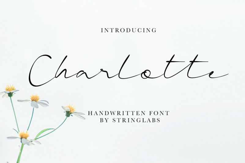 Charlotte Mason New Handwriting Font : by Christopher Craig | Huruf, Tulisan, Kaligrafi - Browse and download handwriting fonts and generate images from custom text with handwriting fonts.
