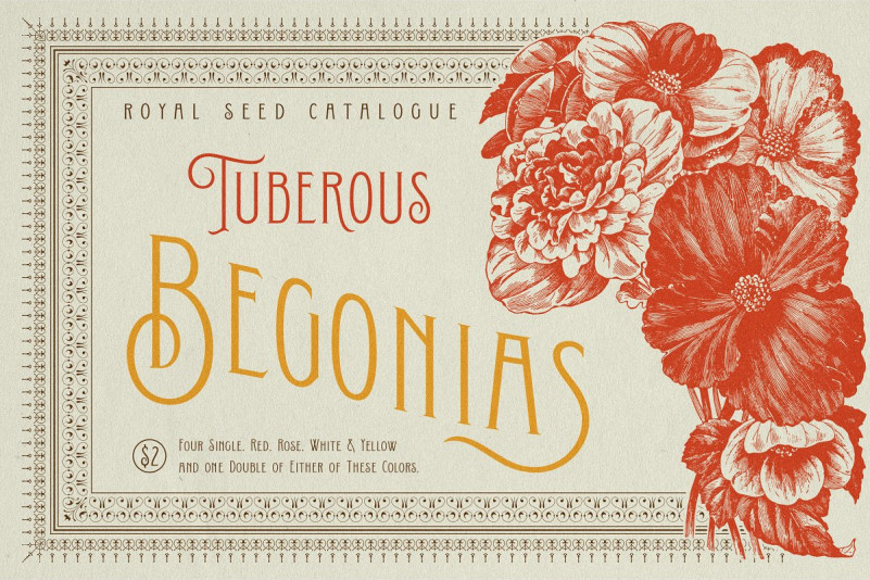 Conserta Vintage Display Font