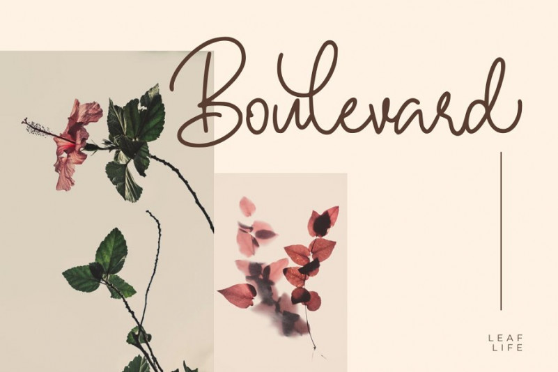Hallywood Font