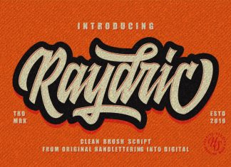 Raydric Script Font