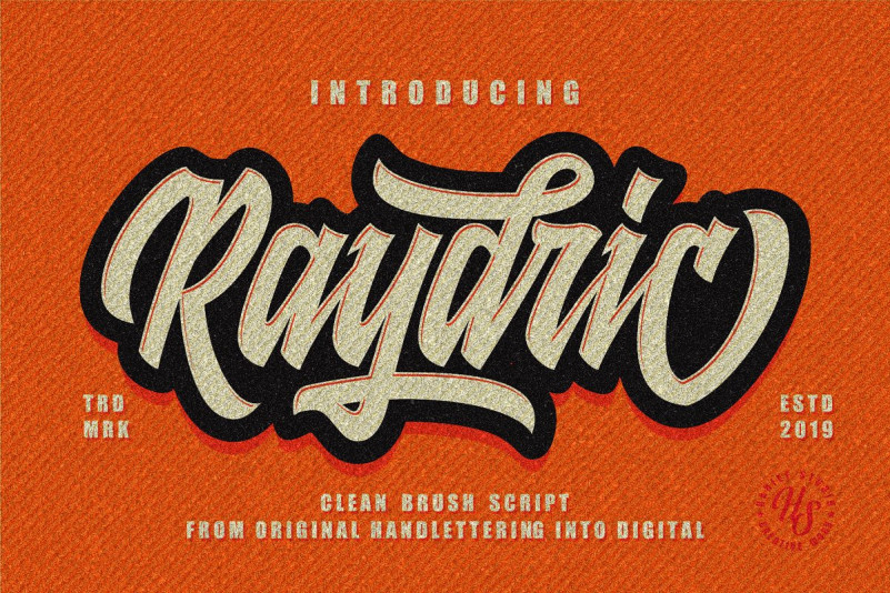 Raydric Script Font - Download Free Font