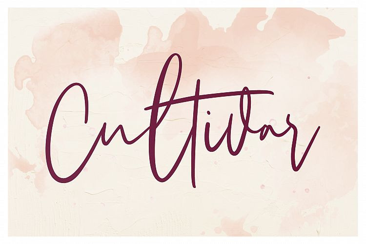 Sarvati Font