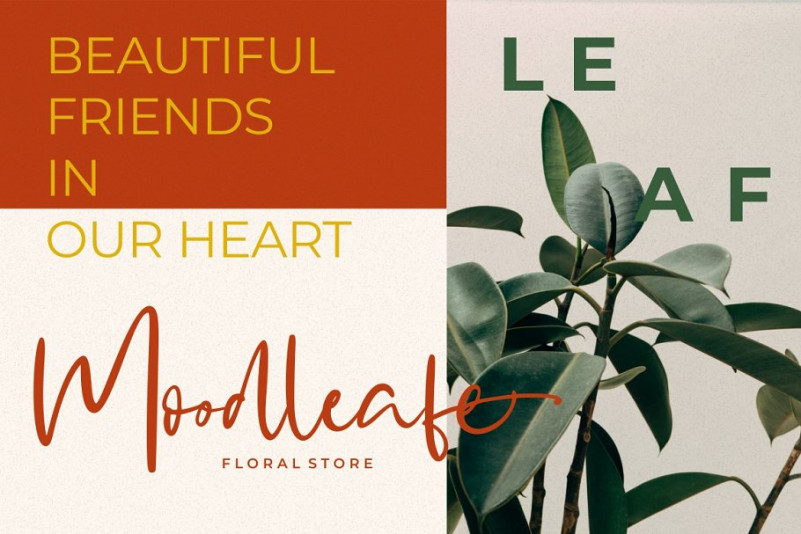 Signtype Font