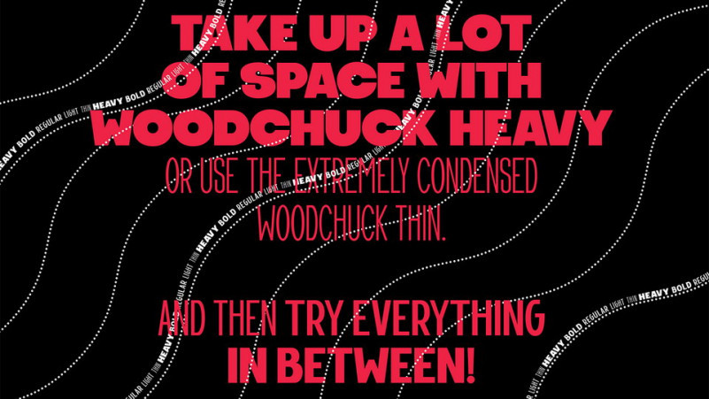 Woodchuck Font Family
