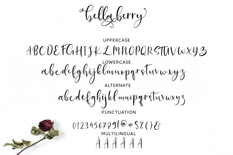 Cochocib Script Font Befonts Com