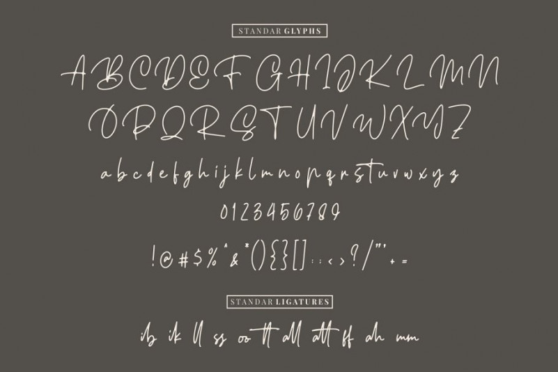 Ellouise Script Font