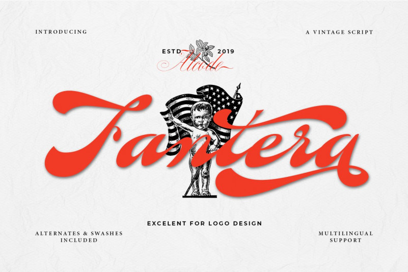 Fantera Vintage Script Font