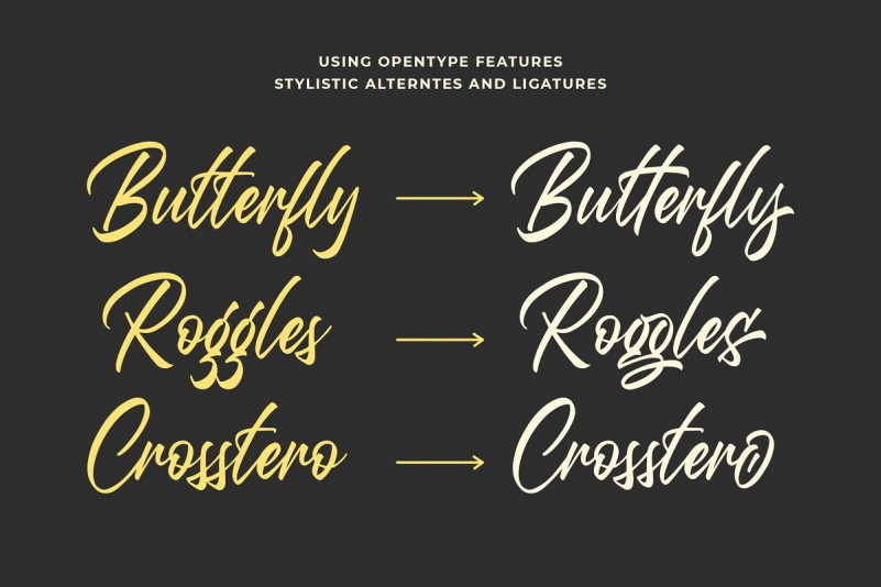 Questario Brush Font