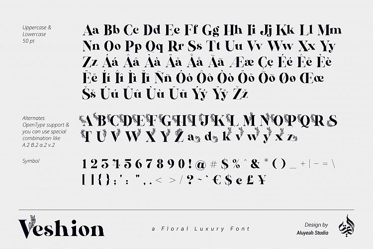 Veshion Serif Font Befonts Com