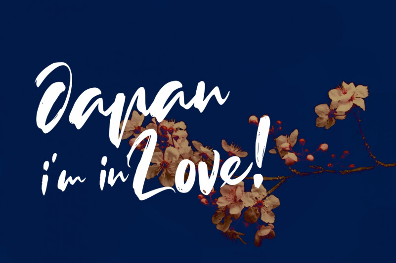 Wintersoul Brush Font