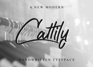 Cattily Calligraphy Font