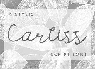 Carllis Script Font