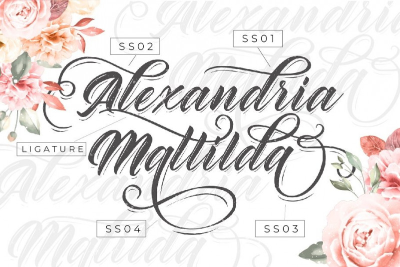 Rhinatta Script Font