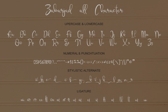 Zabarjad Calligraphy Font