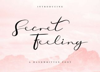 Secret Feeling Calligraphy Font