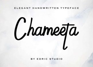 Chameeta Handwritting Font