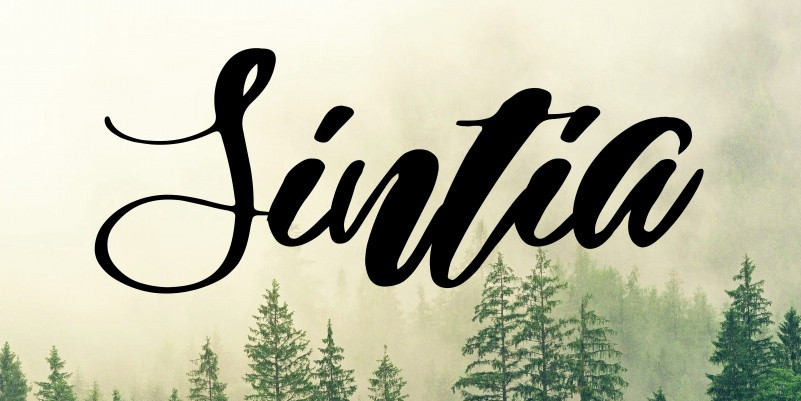 Coterie Script Bold Free Font / Bold Ink Simple Font ~ Script Fonts ~ Creative Market - Script mt the fonts presented on this website are their authors' property, and are either freeware, shareware, demo versions or public domain.