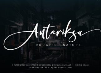 Antariksa Script Font