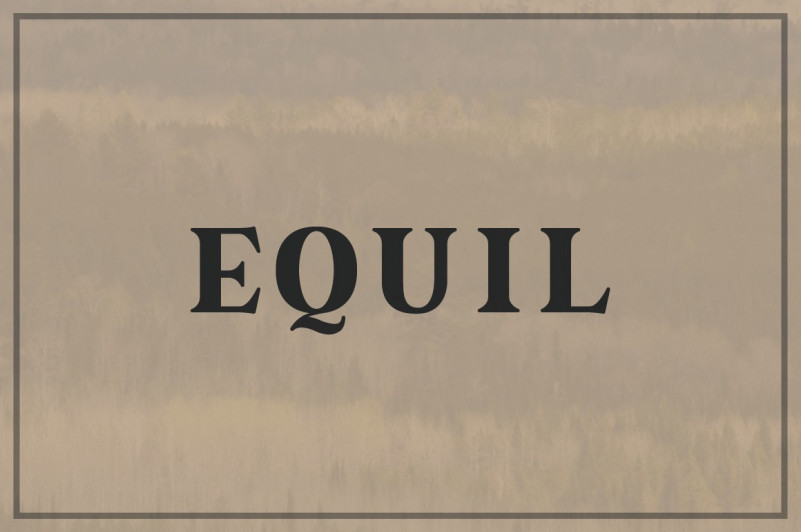 Equil Serif Font