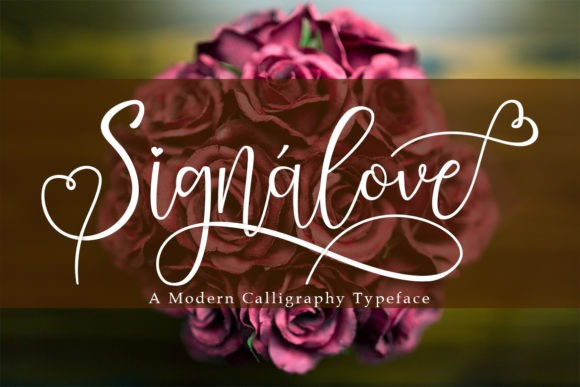 Signalove Calligraphy Font