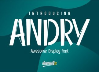 Andry Display Font