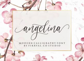 Angelina - Gorgeous Script Font