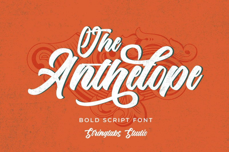 The Anthelope Script Font