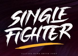 Single Fighter - Brush Font
