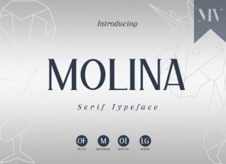 Molina Serif Font