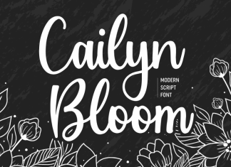 Cailyn Bloom Modern Script Font
