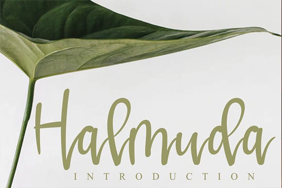 Download Free Halmuda Script Font Befonts Com Fonts Typography
