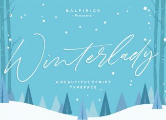 Winterlady Beautiful Script Font