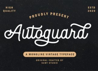 Autoguard Monoline Vintage Font